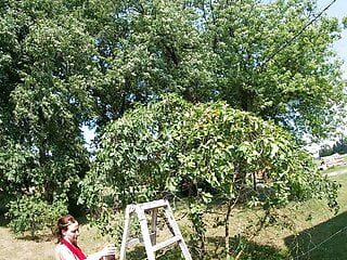 Topless Brunette Picking Cherries From The Tree