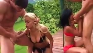 Latinas Suck Big Cocks Outdoors