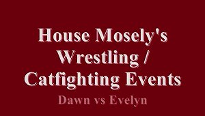 Dawn Vs Evelyn