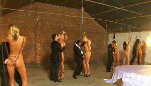 Anal Sluts In Bdsm Foursome Getting Dp Fucked After Humiliation