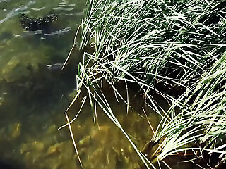 Sex On Lake For Anyone To See!