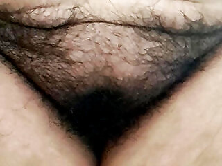 Hairy Fat Pussy Of Mature MILF