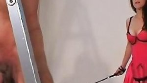 Italian Mistress Whipping And Ball Kicking Free Porn 2f