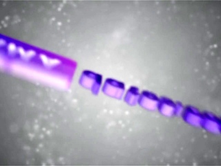 Private Anal Show With Sex Toys
