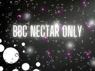 Bbc Nectar Only