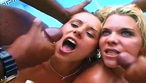 Horny Beach Babes Fuck Everybody At A Sexy Pool